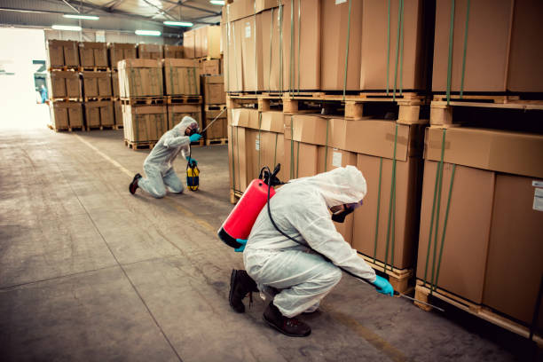 Best Local Pest Control Services  in Earlington, KY