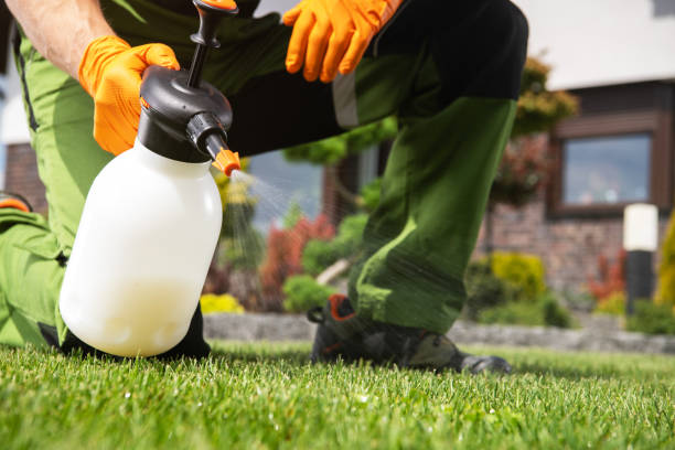 Reliable Earlington, KY Pest Control Solutions