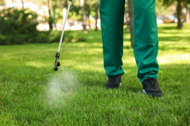 Flea Control Services in Earlington, KY