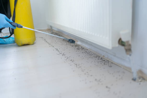 Best Residential Pest Control  in Earlington, KY